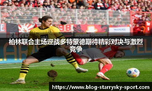 星空体育官网入口