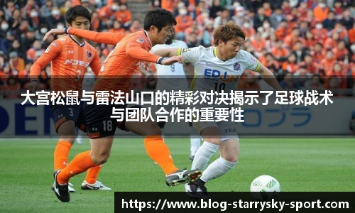 星空体育官网入口